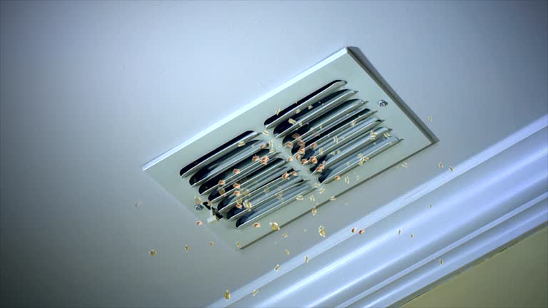 Best Affordable Duct Cleaning Services  in Carlin, NV